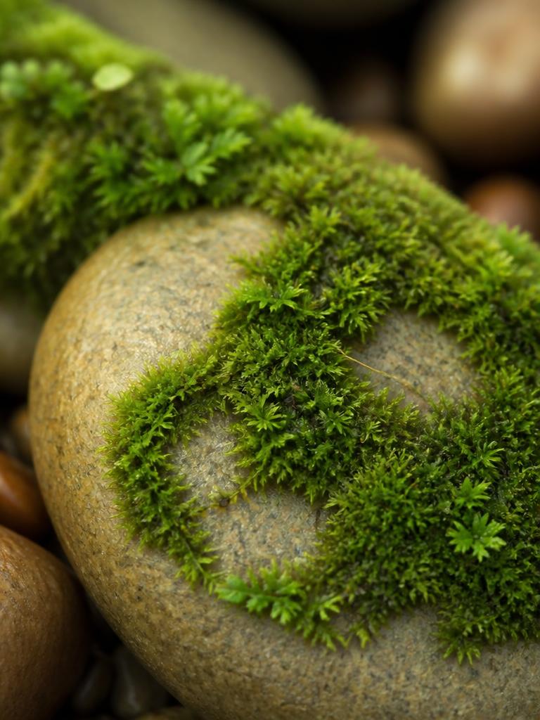 The alchemy of rest in a productivity-obsessed world